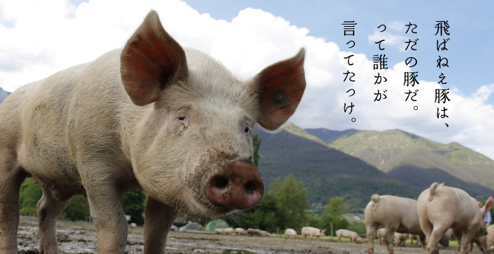 株式会社石川屋 肉のびっくり市