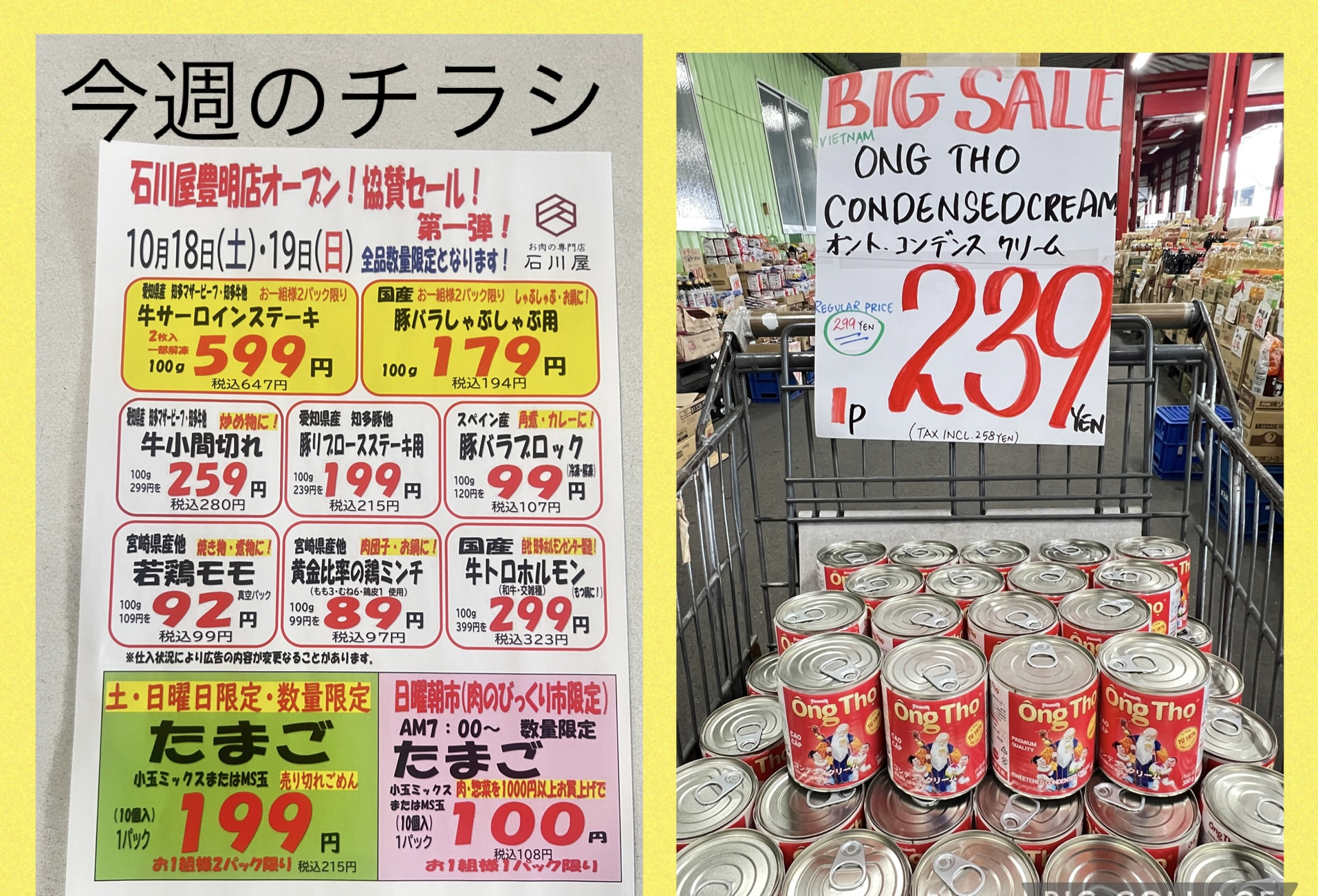 今週のチラシ